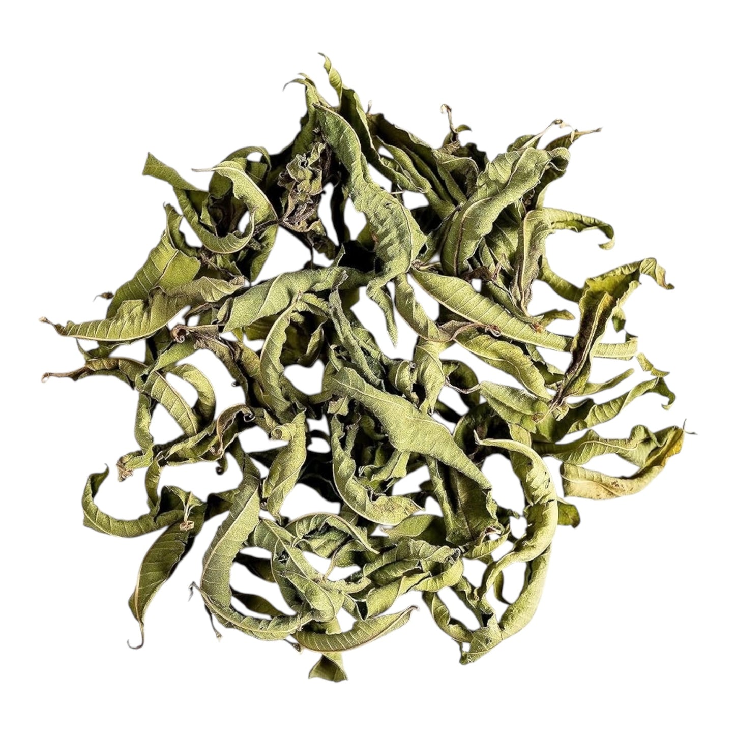 Moroccan Verbena Tea Bags