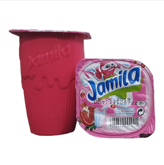 Jamila Raibi