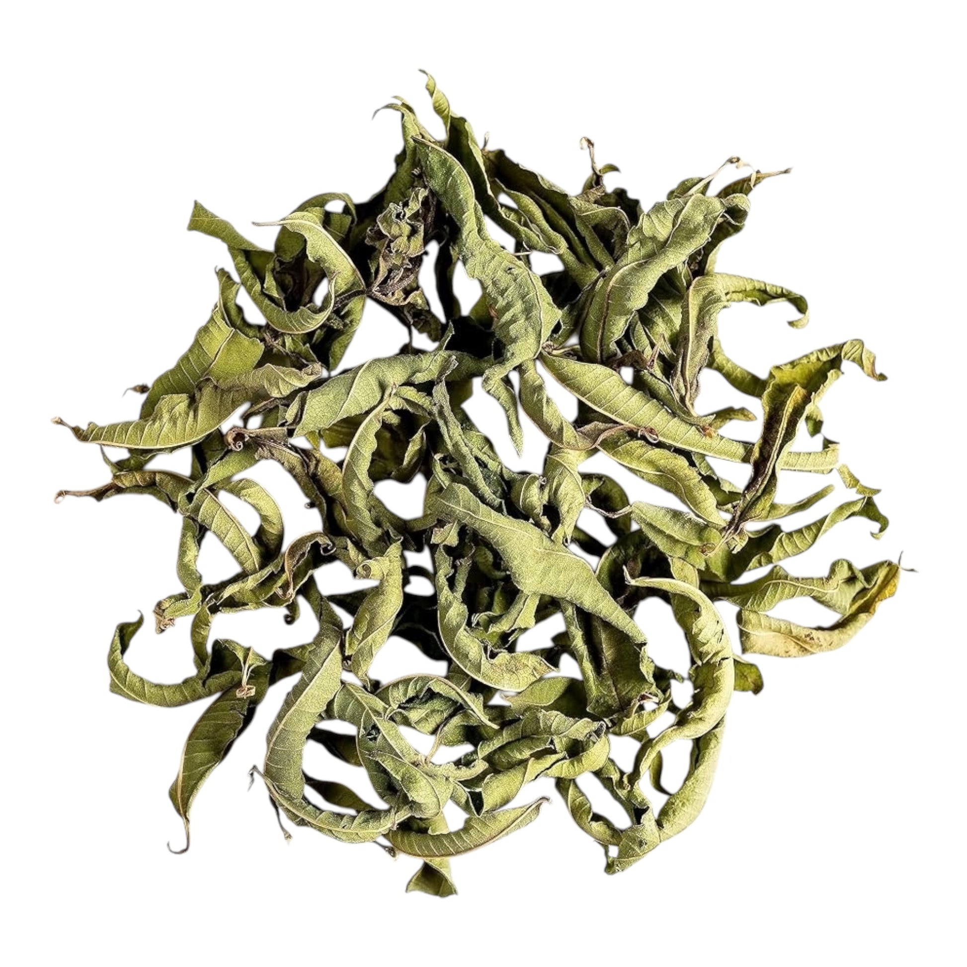 Moroccan Verbena Tea Bags